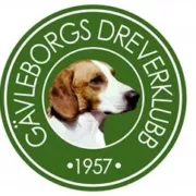 Logotyp för Gävleborgs DK
